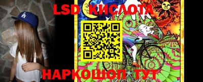 гидра Новозыбков