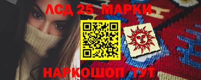 гидра Новозыбков