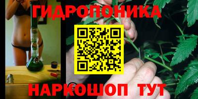 каннабис Новодвинск
