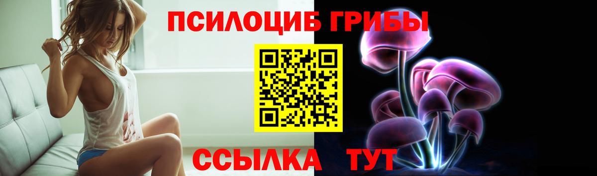 Урюпинск  Псилоцибиновые грибы ЛСД  Вход с VPN  Псилоцибиновые грибы Psilocybe 